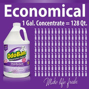 OdoBan Odor Eliminator and Disinfectant Concentrate, Lavender (4 pk.)