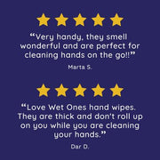 Wet Ones Antibacterial Hand Wipes, Fresh Scent (20 ct., 7 pk.)