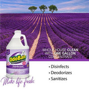 OdoBan Odor Eliminator and Disinfectant Concentrate, Lavender (4 pk.)