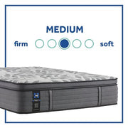 Sealy Posturepedic Plus Spring Anderson Euro Pillowtop Medium Feel Mattress and 9" Foundation - Twin, Twin XL, Full, Queen, King, California King