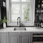 Vigo Edison Pull-Down Spray Kitchen Faucet (Matte Black)