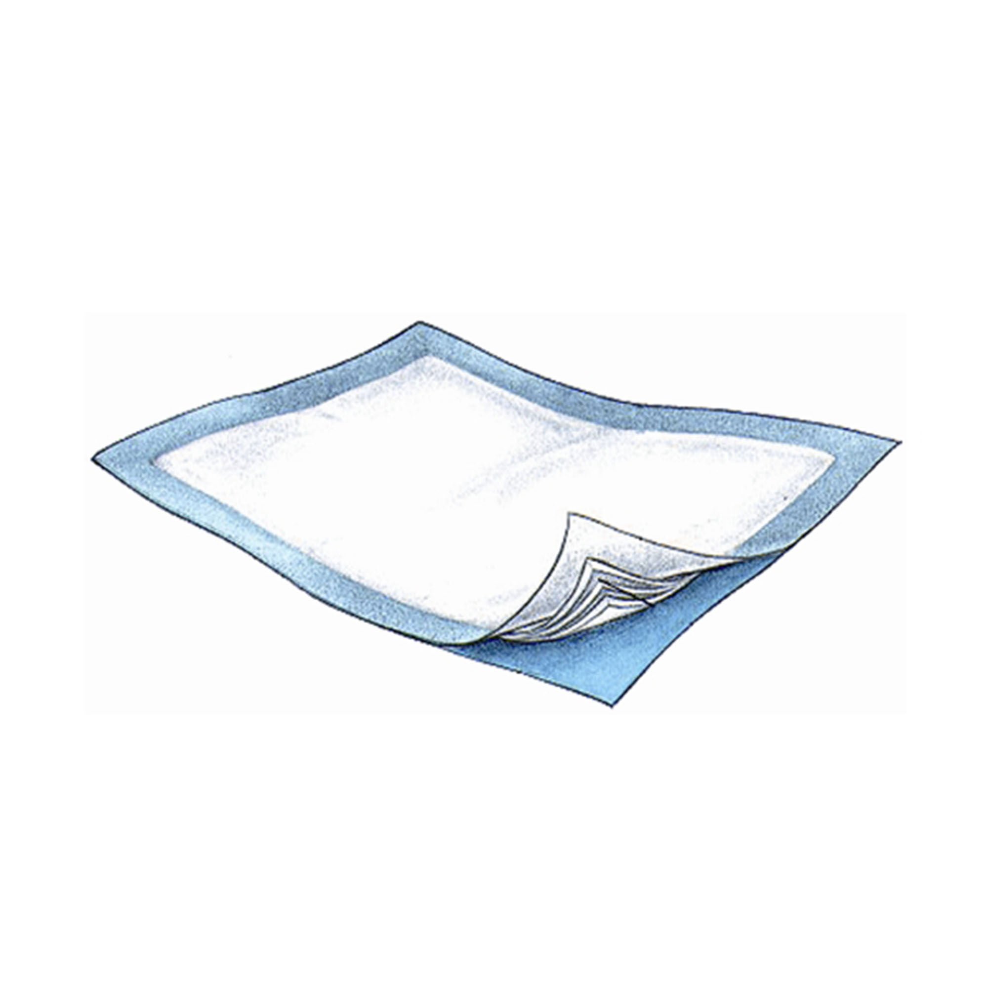 Passport? Underpad, 30 x 36 Inch