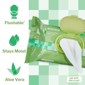 McKesson Flushable* Wet Wipes - Scented, 96 Wet Wipes per Pack - Image 2