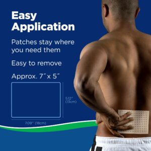 Salonpas? Hot Capsaicin Topical Pain Relief - Image 4