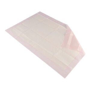 Attends? Care Advanced Dri-Sorb Underpads, Heavy Absorbency, Disposable - Image 1