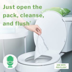 McKesson Flushable* Wet Wipes - Scented, 96 Wet Wipes per Pack - Image 3