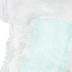 TotalDry Maximum Pads, Moderate Absorbency - Image 2