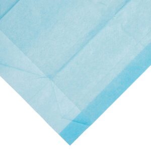 Dynarex? Absorbent Fluff Fill Underpad, 23 x 24 Inch - Image 4