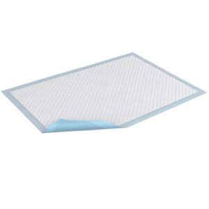Tena? Underpad, Light Absorbency, 30 x 30 Inch - Image 1