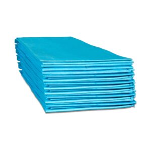 Dukal Disposable Underpad, 23 x 24 in. - Image 1